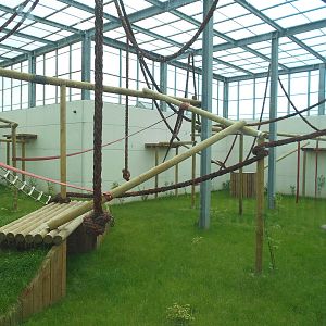 Chimp House - 10/06/2016