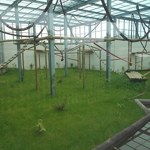 Chimp House - 10/06/2016