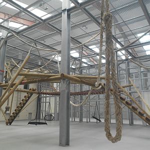 Chimp House - 10/06/2016