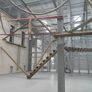 Chimp House - 10/06/2016