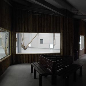 Chimp House - 10/06/2016