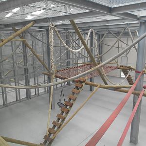 Chimp House - 10/06/2016