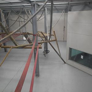 Chimp House - 10/06/2016