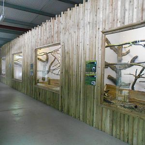 Chimp House - 10/06/2016