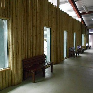 Chimp House - 10/06/2016