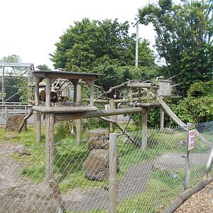 Red Panda enclosure - 10/06/2016