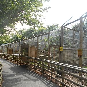 Cat enclosures - 10/06/2016