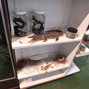 Display - Herdsman Lake Visitor Centre