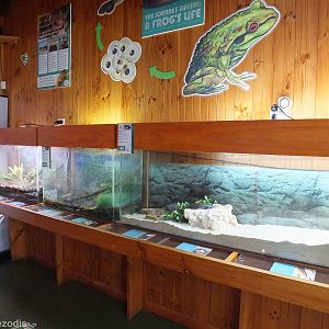 Herp Enclosures - Herdsman Lake Visitor Centre