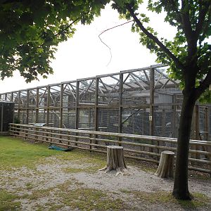 Cockatoo aviary - 10/06/2016