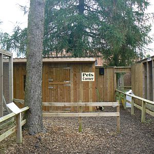 View of New 'Pets Corner' - 11 June 2016
