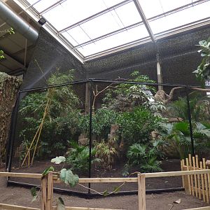 Refurbished Hornbill Aviary in Elephants of the Asian Forest