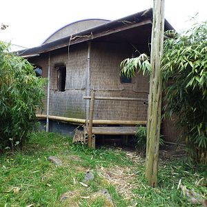 Outdoor Komodo Dragon Exhibit