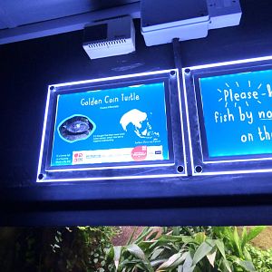 Signage Style in Refurbised Aquarium