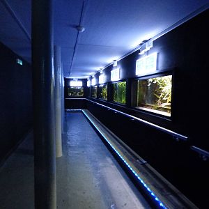 Corridor in Rifurbished Aquarium