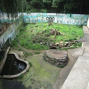 Nanjing Zoo - Sun Bear Enclosure