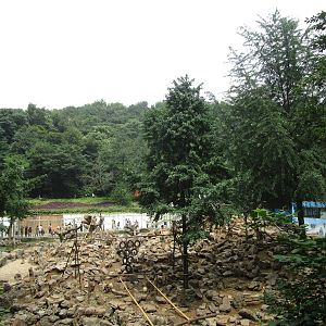 Nanjing Zoo - Rhesus Mountain