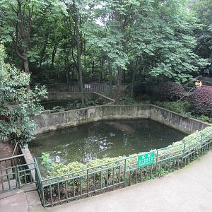 Nanjing Zoo - Hippo Pool
