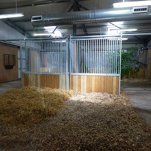 Indoor Okapi Enclosure