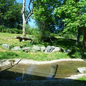 Second Asian Lion Enclosure