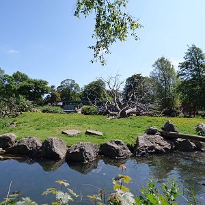 Sulawesi Macaque Island