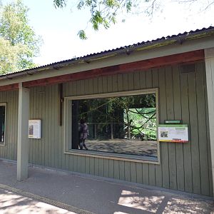 Sulawesi Macaque House