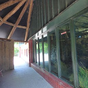 Indoor Chimp Viwing Area