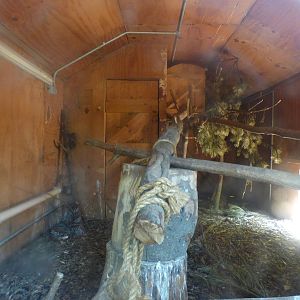 Indoor Ground Hornbill Enclosure