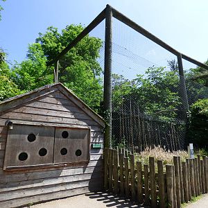 View of Ground Hornbill Enclosure