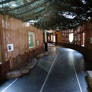 View of South America House