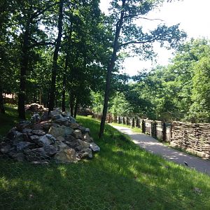 Walkthrough exhibit for Yellow-footed Rock-wallabies