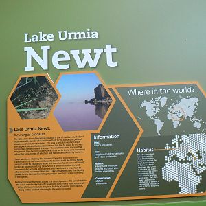 Example of Signage - 12 June 2016, Askham Bryan College