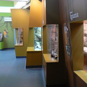 View of Reptile and Tarantula Tanks - 12 June 2016, Askham Bryan College