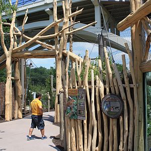 Rosebrough Tiger Passage - New June, 2016