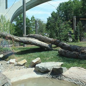 Rosebrough Tiger Passage - New June, 2016