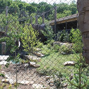 Rosebrough Tiger Passage - New June, 2016