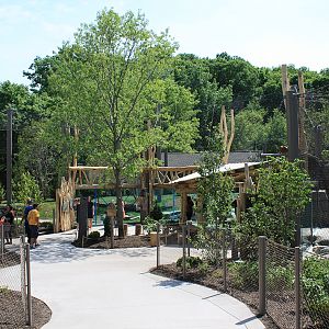 Rosebrough Tiger Passage - New June, 2016