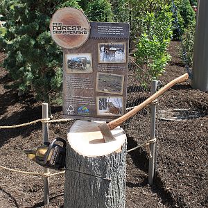 Rosebrough Tiger Passage - New June, 2016