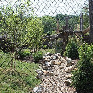 Rosebrough Tiger Passage - New June, 2016