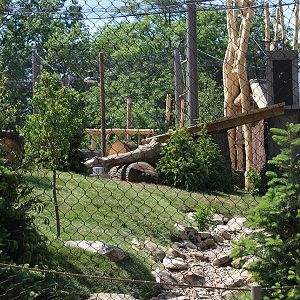 Rosebrough Tiger Passage - New June, 2016