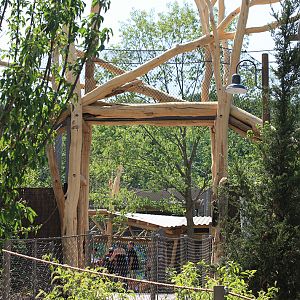 Rosebrough Tiger Passage - New June, 2016