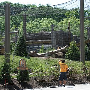 Rosebrough Tiger Passage - New June, 2016