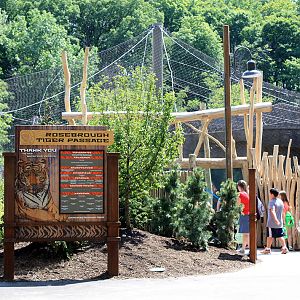 Rosebrough Tiger Passage - New June, 2016