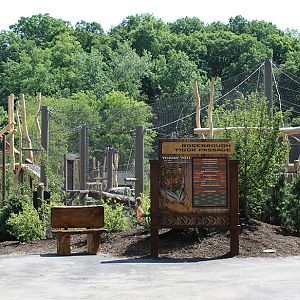 Rosebrough Tiger Passage - New June, 2016
