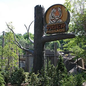 Rosebrough Tiger Passage - New June, 2016