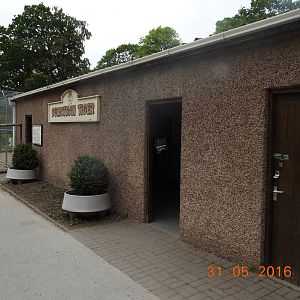 Sumatran Tiger enclosure