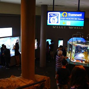 Underwater Tunnel Level Foyer