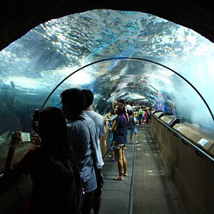 Underwater Tunnel