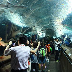 Underwater Tunnel