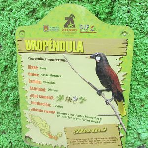 sign zoologico del altiplano